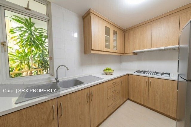 Sun Plaza (D27), Apartment #555739711